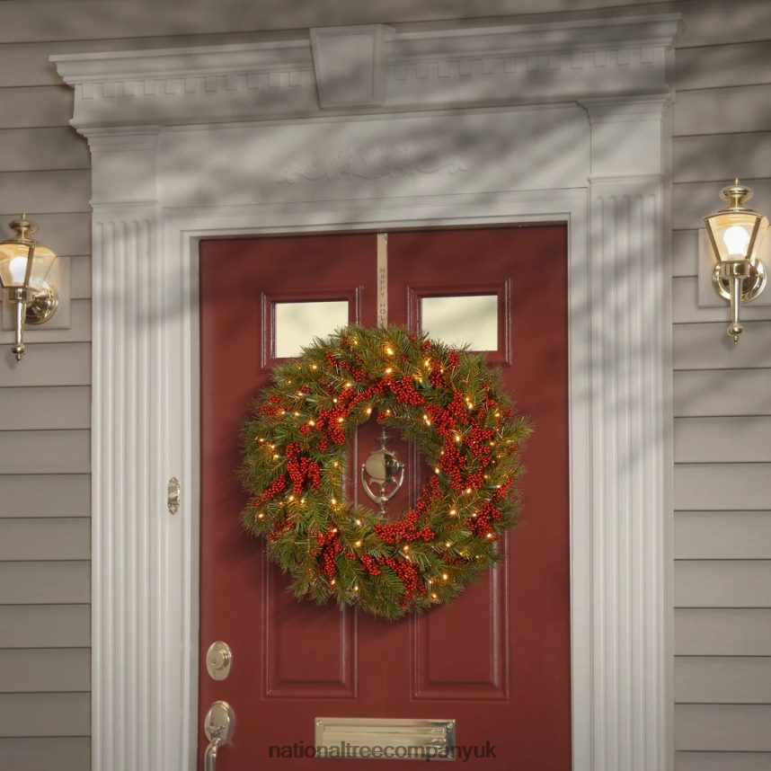 Greenery | National Tree Company Pre-Lit Artificial Christmas Wreath Green Valley Pine White Lights Decorated with Berry Clusters Christmas Collection 24 Inches F2L4F315